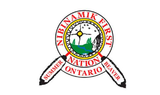 Nibinamik-logo