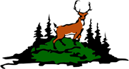 deer lake logo